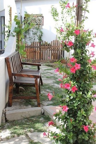 Gelsomino Rooms Ravello Eksteriør billede